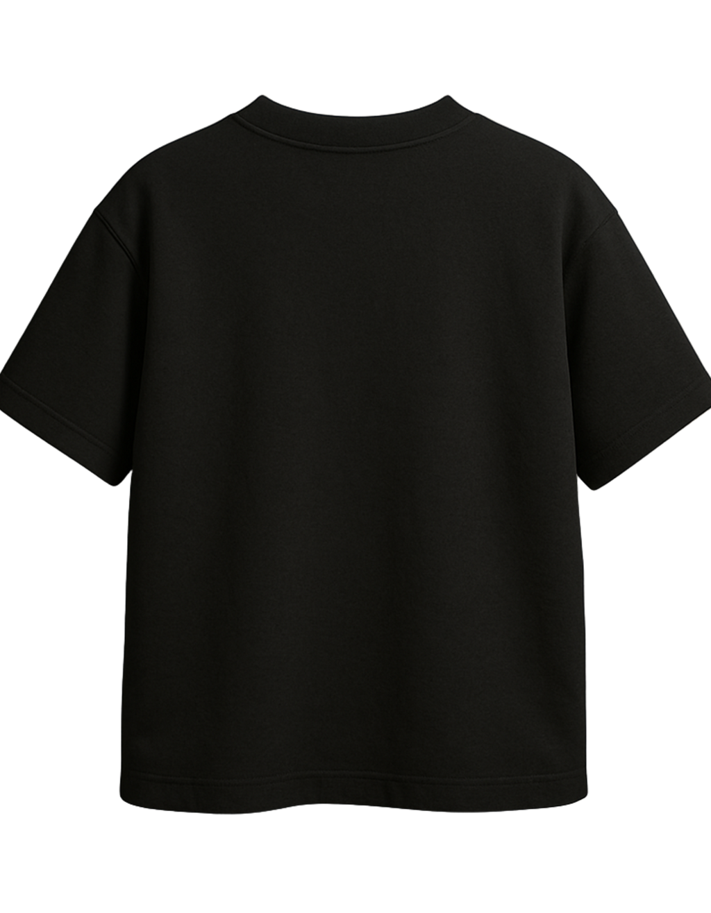 PANORAMA oversized t-shirt