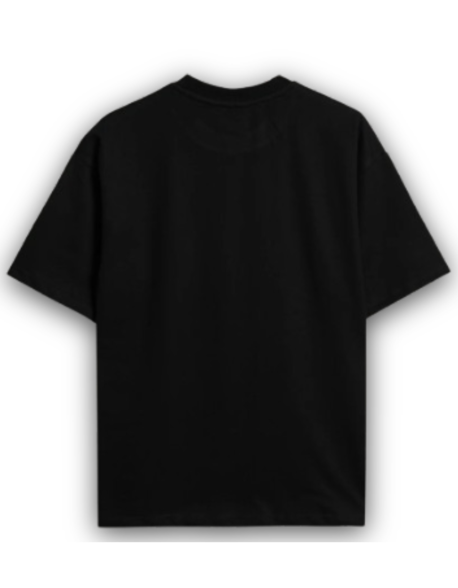 PANORAMA oversized t-shirt